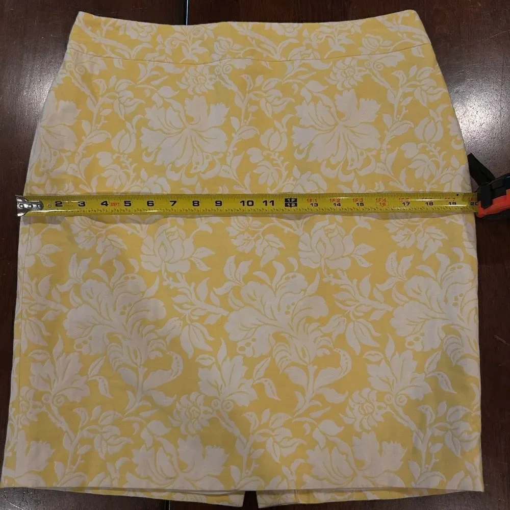 Ann Taylor pencil skirt, NWOT